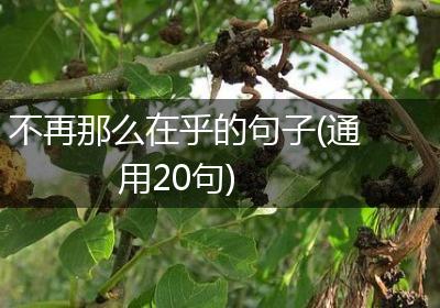 不再那么在乎的句子(通用20句)