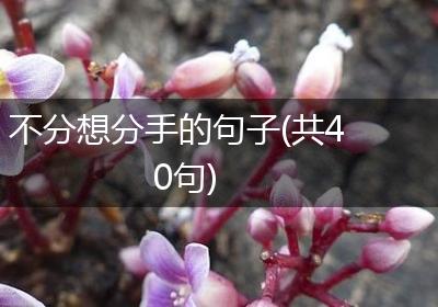 不分想分手的句子(共40句)