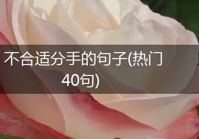 不合适分手的句子(热门40句)
