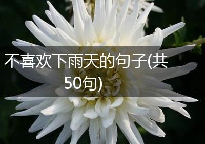 不喜欢下雨天的句子(共50句)
