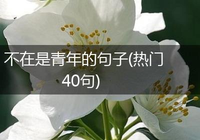 不在是青年的句子(热门40句)