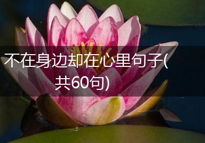 不在身边却在心里句子(共60句)
