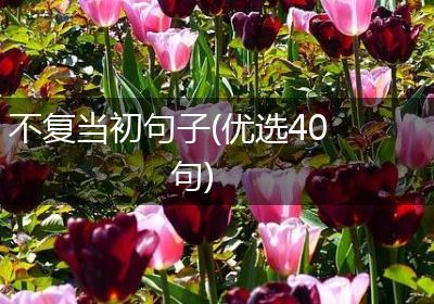 不复当初句子(优选40句)