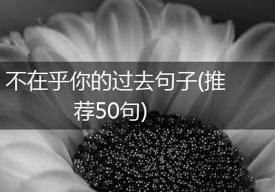 不在乎你的过去句子(推荐50句)