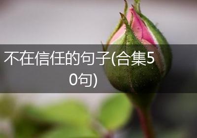 不在信任的句子(合集50句)