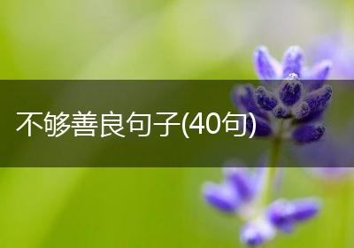 不够善良句子(40句)