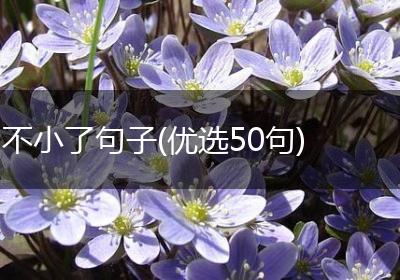 不小了句子(优选50句)