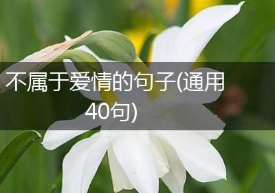 不属于爱情的句子(通用40句)