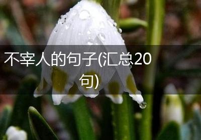 不宰人的句子(汇总20句)