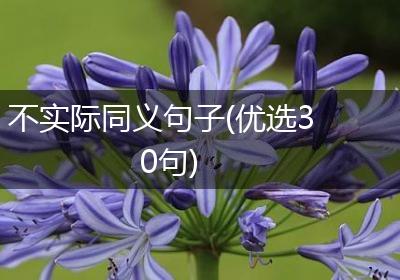 不实际同义句子(优选30句)