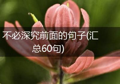 不必深究前面的句子(汇总60句)
