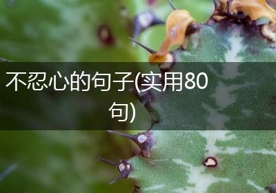 不忍心的句子(实用80句)