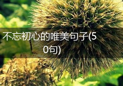 不忘初心的唯美句子(50句)