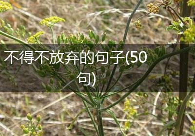 不得不放弃的句子(50句)