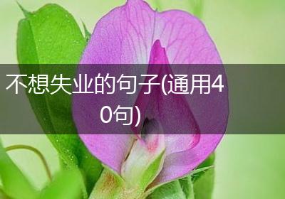 不想失业的句子(通用40句)