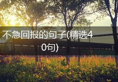 不急回报的句子(精选40句)