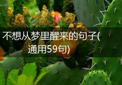 不想从梦里醒来的句子(通用59句)