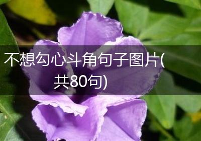 不想勾心斗角句子图片(共80句)