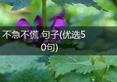 不急不慌 句子(优选50句)