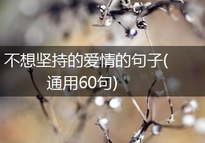 不想坚持的爱情的句子(通用60句)