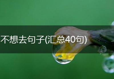 不想去句子(汇总40句)
