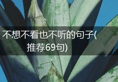 不想不看也不听的句子(推荐69句)