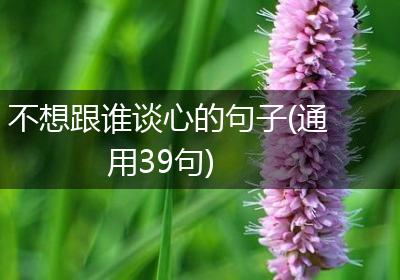 不想跟谁谈心的句子(通用39句)
