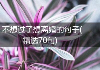 不想过了想离婚的句子(精选70句)