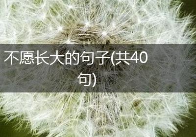 不愿长大的句子(共40句)