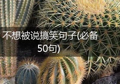 不想被说搞笑句子(必备50句)