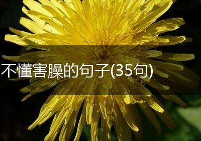 不懂害臊的句子(35句)