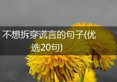 不想拆穿谎言的句子(优选20句)