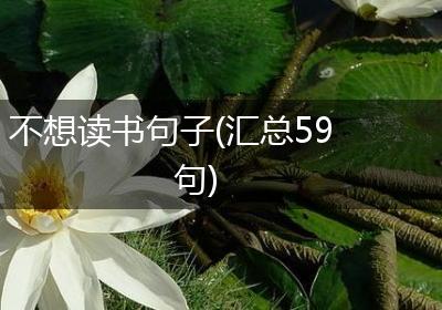 不想读书句子(汇总59句)