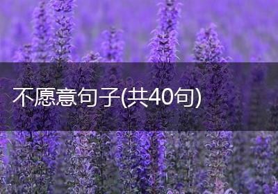 不愿意句子(共40句)