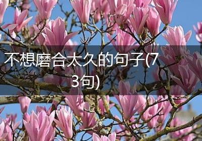 不想磨合太久的句子(73句)