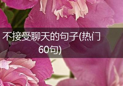 不接受聊天的句子(热门60句)