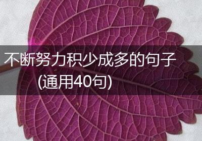 不断努力积少成多的句子(通用40句)