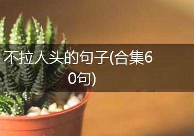 不拉人头的句子(合集60句)