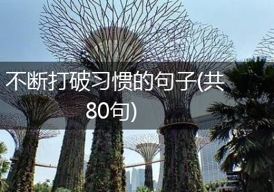 不断打破习惯的句子(共80句)