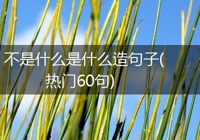 不是什么是什么造句子(热门60句)