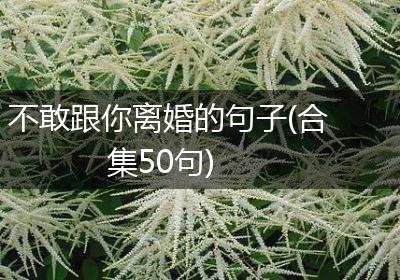不敢跟你离婚的句子(合集50句)