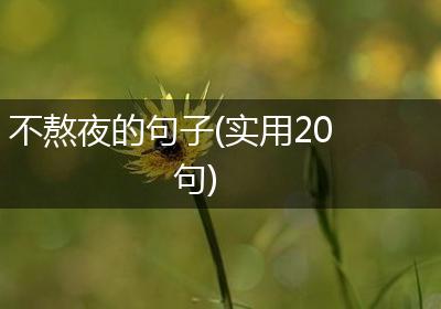 不熬夜的句子(实用20句)