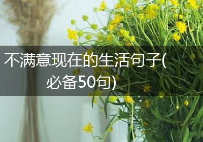 不满意现在的生活句子(必备50句)