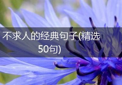 不求人的经典句子(精选50句)