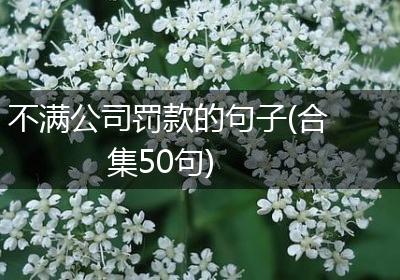 不满公司罚款的句子(合集50句)