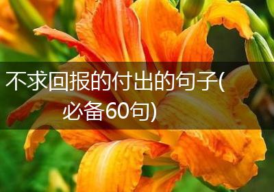 不求回报的付出的句子(必备60句)