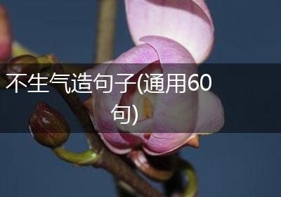 不生气造句子(通用60句)