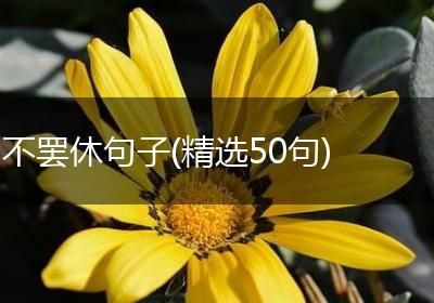 不罢休句子(精选50句)