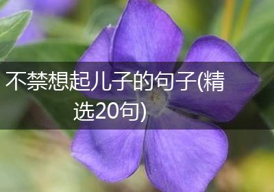 不禁想起儿子的句子(精选20句)