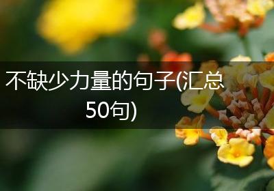 不缺少力量的句子(汇总50句)